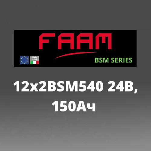 Тяговый аккумулятор FAAM 12х2BSM540 24В, 150Ач для транспортировщика паллет Hyster P1.6